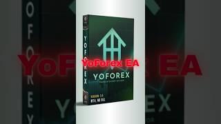 YoForex EA V3.0 MT4 with SetFiles - 40% IN 10 DAYS - FULL REVIEW & BACKTEST - PART 1