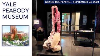 The Rocket - 2024 Reopening of Yale Peabody Museum