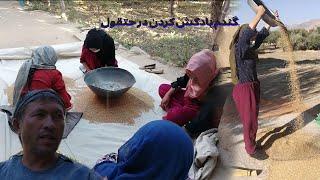 4 Winter Preparations You NEED to do at village #Jaghori life