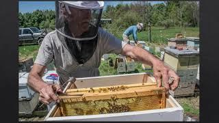 A Year at French Hill Apiaries - Mike Palmer