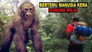 Misteri Keangkeran Gunung Wilis - Penampakan Siluman Kera Hingga Ular Raksasa