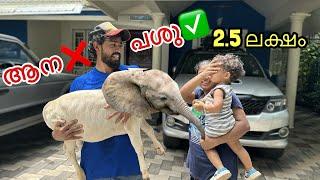 ദൈവമെ.. 2.5 ലക്ഷം രൂപയുടെ മൈക്രോ ആനയോ ?? | OMG this is very cute 