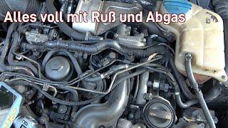 V6 TDI warum stinkt er so nach Abgas Fehlersuche