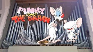 Pinky and the Brain (Organ Cover)