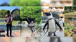 VLOG: WENT TO CHURCH : STORY TIME : SUNSET DRIVE  :PENGUINS BOULDERS BEACH ️ :DINNER WITH FAM