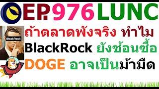 [Ep.976] ถ้าตลาดไม่มีความหวัง ใย BlackRock จึงยังช้อนซื้ออย่างบ้าคลั่ง DOGE จะม้ามืดหรือไม่ ?