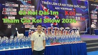 Cá Koi Dài Hơn 1m Và Các Thí Sinh Nhà Zen Koi Farm Tham Gia Koi Show 2024 #loczenkoi #zenkoifarm