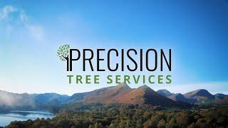 A Day With Precision Tree Services