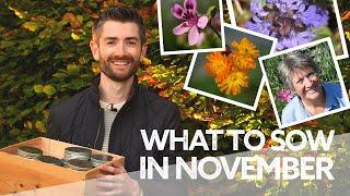 What Flowers to Sow in November | What to Plant in Autumn with Liz Zorab