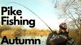 Why You Should Try Pike Fishing In Autumn With Lures