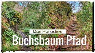 Auf der Suche nach dem Paradies Folge 4 | Der Buchsbaum-Wanderpfad an der Mosel | Wandern Hiking 4K