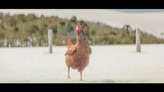 Šķērsielas | KFC smieklīgā reklāma