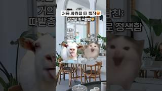 커플이 처음 싸웠을 때 특징ㅋㅋ