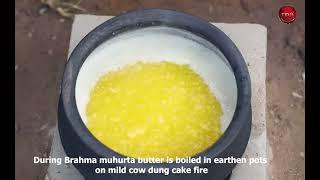 TDN A2 COW BILONA GHEE MADE BY VEDIC BILON METHOD