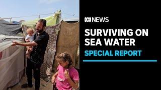 This is what life is like in Gaza's 'humanitarian area' | ABC News Special Report