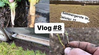 FarmVLog #8 | Sommergerste im Winter | Bohrmangel im Raps | Bonitur an Weihnachten