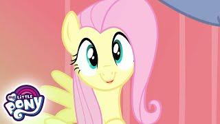 My Little Pony Deutsch  Fluttershy setzt sich durch | Freundschaft ist Magie | Ganze Folge MLP