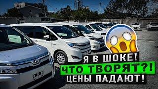 Что творят продавцы? Цены падают! Зеленый Угол 2024 Август