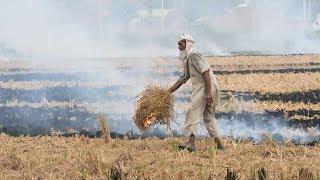 Air quality deteriorates in Delhi, Punjab and Haryana, stubble burning cases continue to pour in