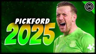 Jordan Pickford 2024/25 ● The Tigre ● Crazy Saves & Skills - FHD