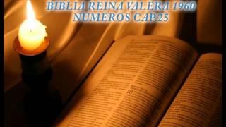 Biblia Hablada-BIBLIA REINA VALERA 1960-NUMEROS CAP.25