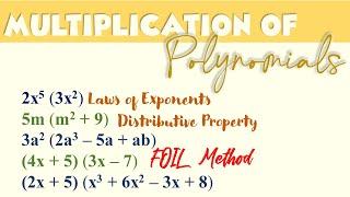 Multiplication of Polynomials | Ms Rosette