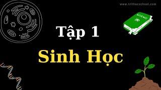 Carbon - Sinh Học - tập 1| Tri thức nhân loại