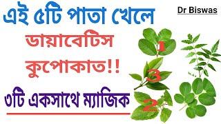 এই ৫টি পাতা খেলেই ডায়াবেটিস নিয়ন্ত্রণে চলে আসবে - Eat 5 Leaves for Diabetes control । Dr Biswas