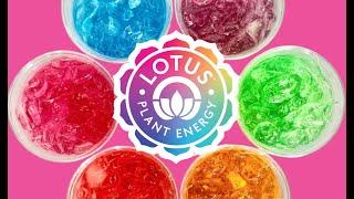 Unleashing Energy Innovation: Lotus Plant Energy Drink Shines on Fox Business' Trending Today