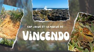 Ile de la Réunion: Randonnée Marine de Vincendo - Cap Jaune