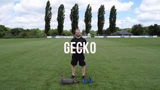 Exercise Technique A-Z: Gecko
