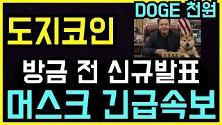 도지코인 머스크 5분전 작심 폭로 단기 조정시그널 떴다! 이영상 꼭 보셔야 합니다!!