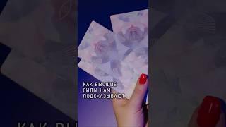  как высшие силы нам помогают и подсказывают ️
