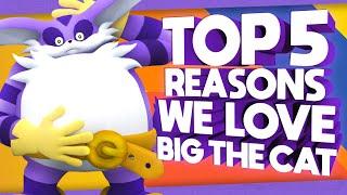 Top 5 Reasons We Love Big The Cat