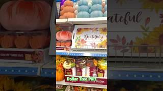 Dollar Tree Plus Fall Pumpkin Decor