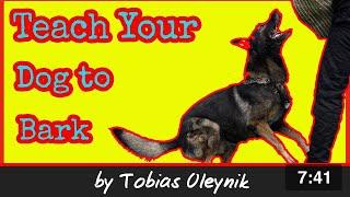 How to Teach Your Dog To Bark - IGP Online Academy by Tobias Oleynik.