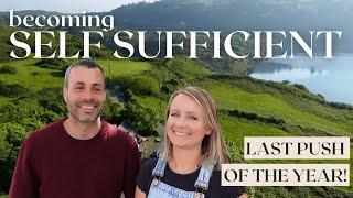 Off grid family homestead | ALL HANDS ON DECK!