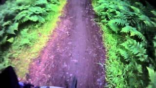 Ben Hodder Glentress Free Ride Park - Bottom