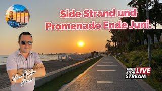 Side Strand und Promenade Ende Juni.