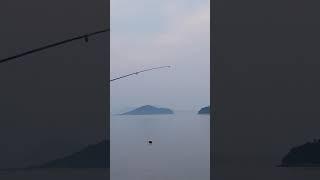 원투 낚시 감성돔 입질 FISHING and bite