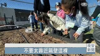 核桃教育園區冬令營 小朋友享受田園樂