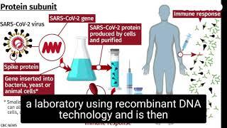 subunit vaccine and how does it work