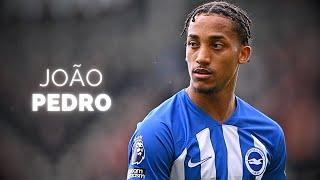 João Pedro - Season Highlights | 2024