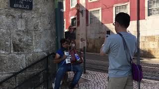 Accordion player with his little dog at Portas do Sol