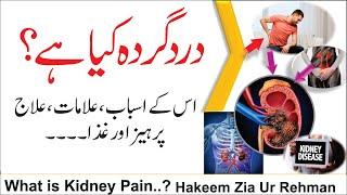 What is kidney Pain | Kidney pain treatment | How to know if you are having Kidney pain | درد گردہ