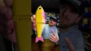 Throwback Baits Metro Glide Swimbait fall fishing challenge! #fishing #fishingvideo #bassfishing