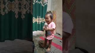 baby gemes nyanyi cicak di dinding a