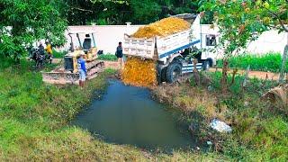 Starting New Project Filling Land Delete Grass In Flooded Area By Bulldozer Komatsu D20 & Truck 5T