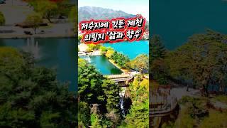 죽기 전에 꼭 가봐야 할 대한민국 최고의 대한민국  숨은비경을 찾는 여행 #제천의림지,#제천가볼만한곳, #숨은명소,