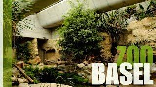 The amazing buildings of Basel Zoo